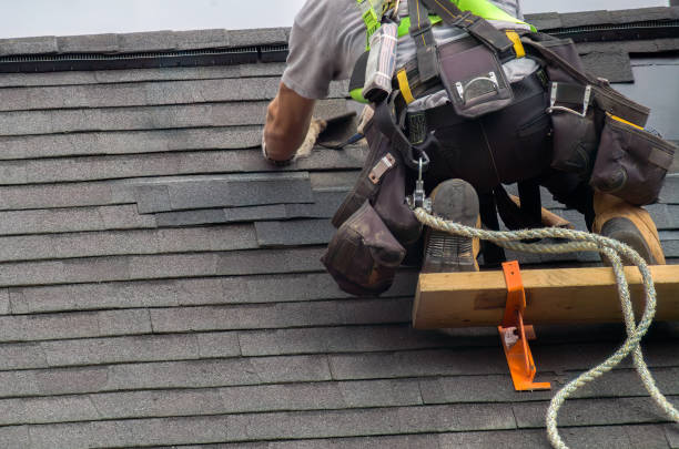 Reliable Roof Replacement contractor in Palm Harbor, FL by Brentwood Metal Roofing